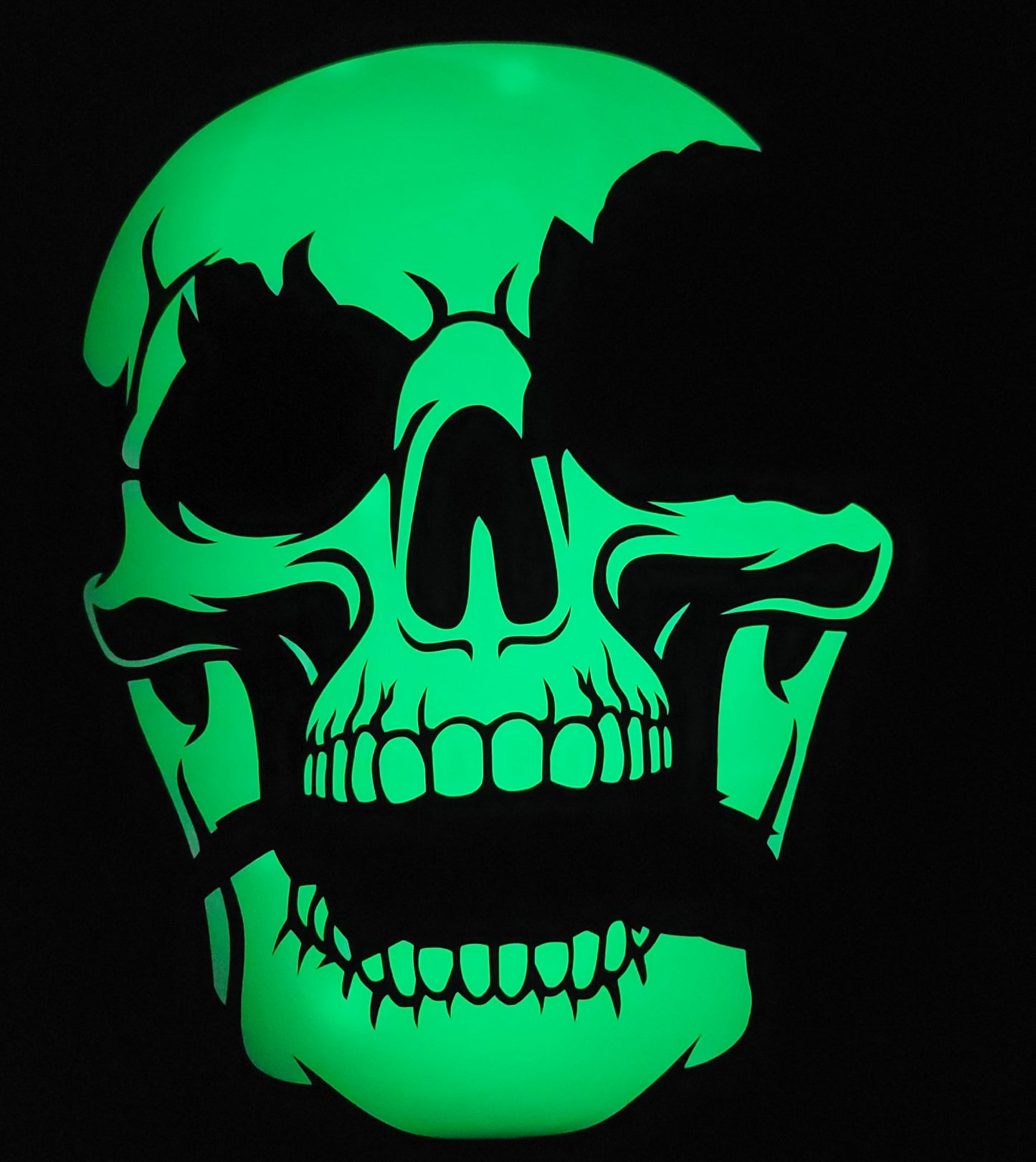 Glow In the Dark Skull Head